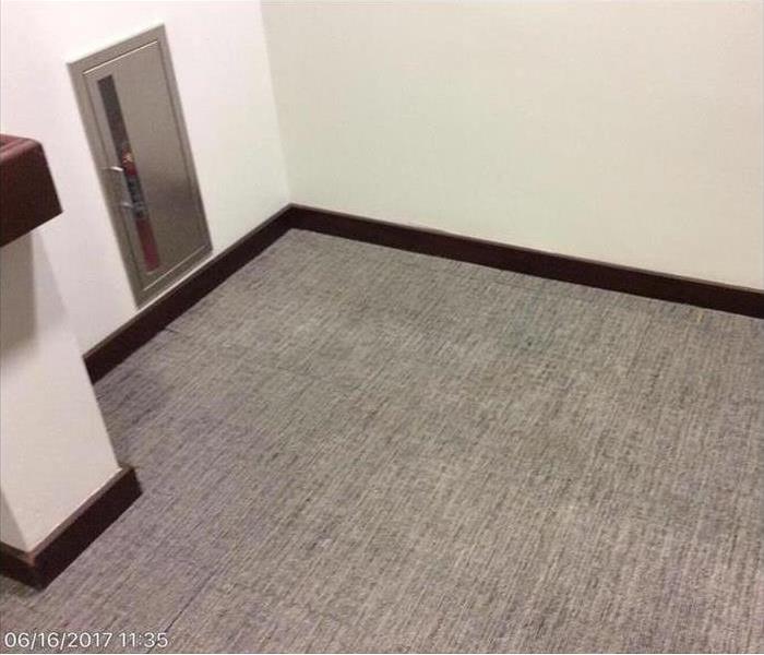 Cleaned carpet